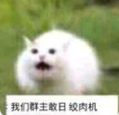 我们群主敢。。。表情包合集