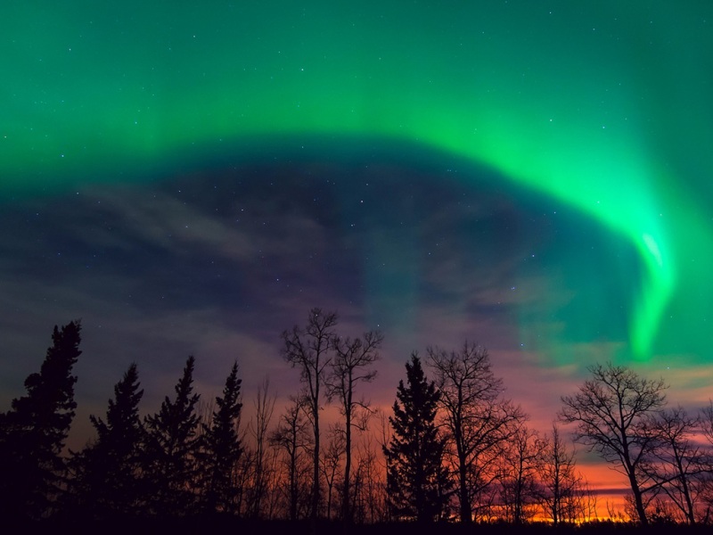 夜晚林间遇上极光星河！这套壁纸氛围感拉满