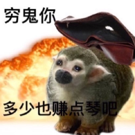 聊天斗图别愁！这套猴猴表情包帮你精准传情
