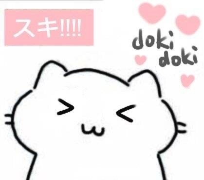 超实用肥肥猫猫斗图表情包合集
