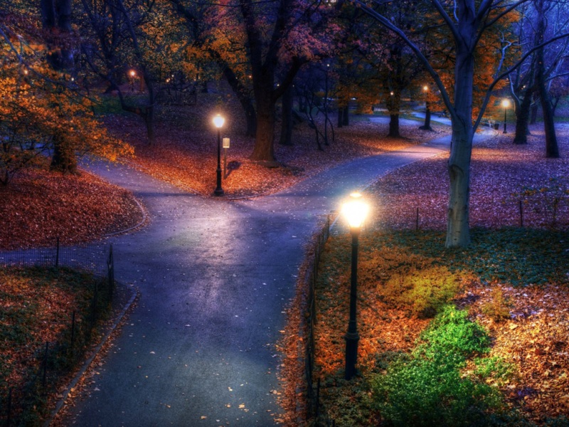 夜晚森林公园灯光氛围感壁纸分享