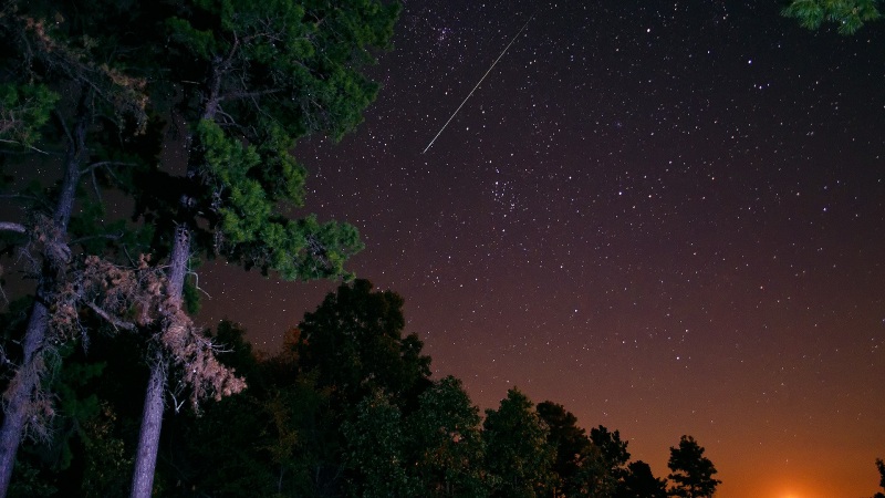 夜晚星空森林松树 多款高清电脑桌面壁纸来啦
