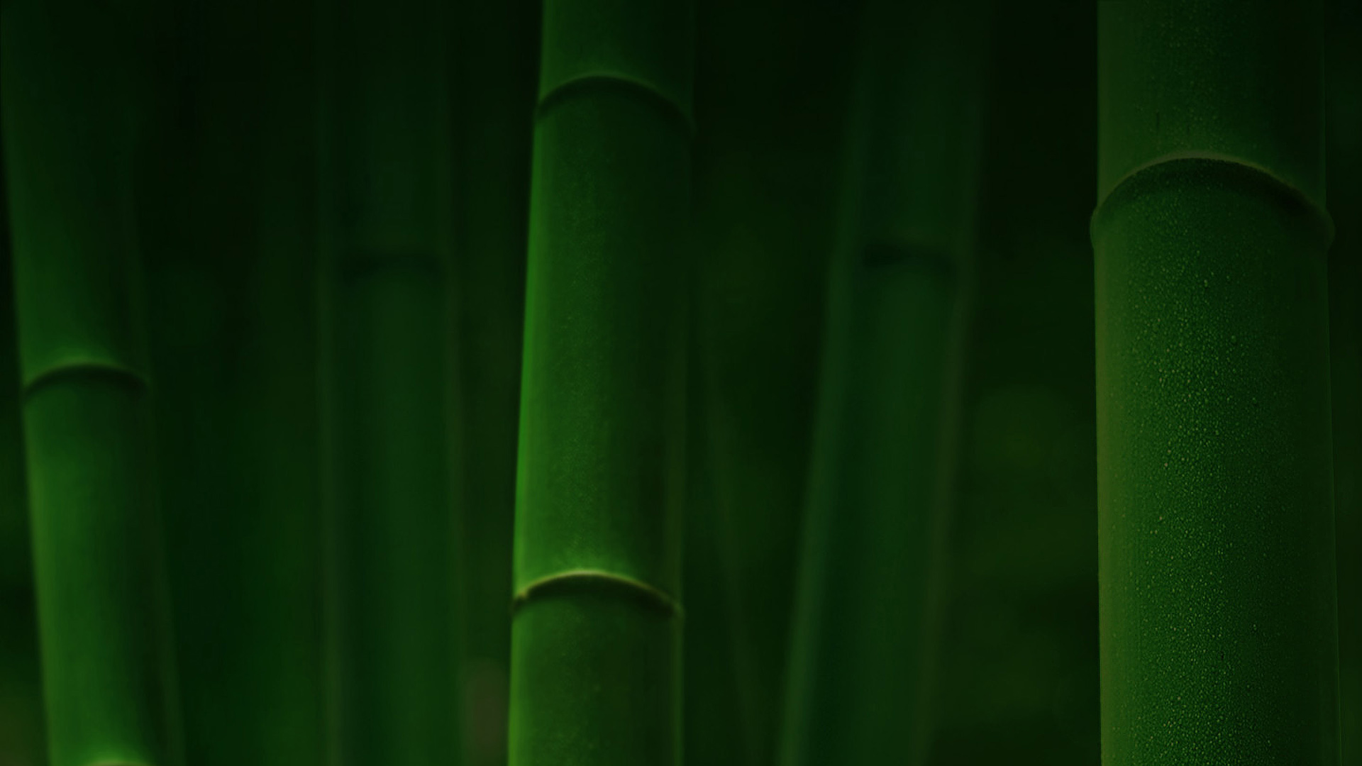 护眼又治愈！竹林绿竹风景电脑动漫壁纸合集