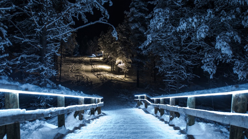 冬日深夜林间雪境公园壁纸上新