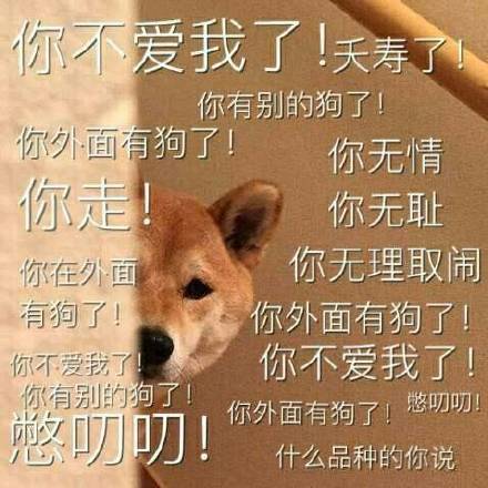 狗狗怼人表情包来啦！放话要和你battle谁更会怼