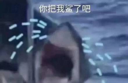 聊天斗图别愁！这套鲨鱼表情包直接封神