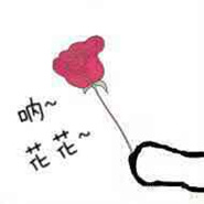 拿着花表白被当场还回？这句“拒绝是小狗”简直扎到心坎里