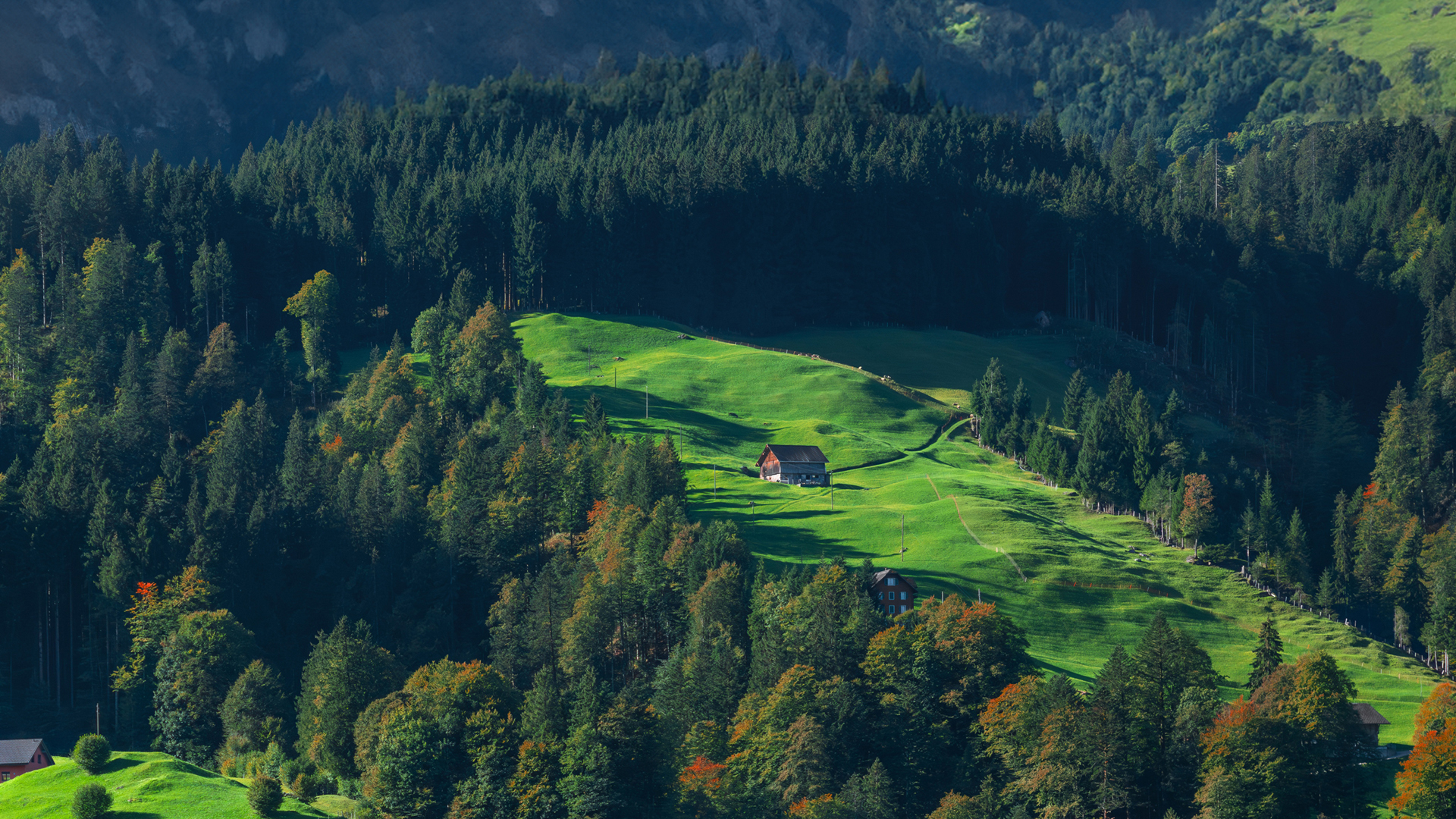 治愈系林间木屋风景电脑壁纸 适配多尺寸高清可选