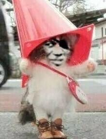 聊天斗图必备！这套魔性变脸猫表情包太上头了