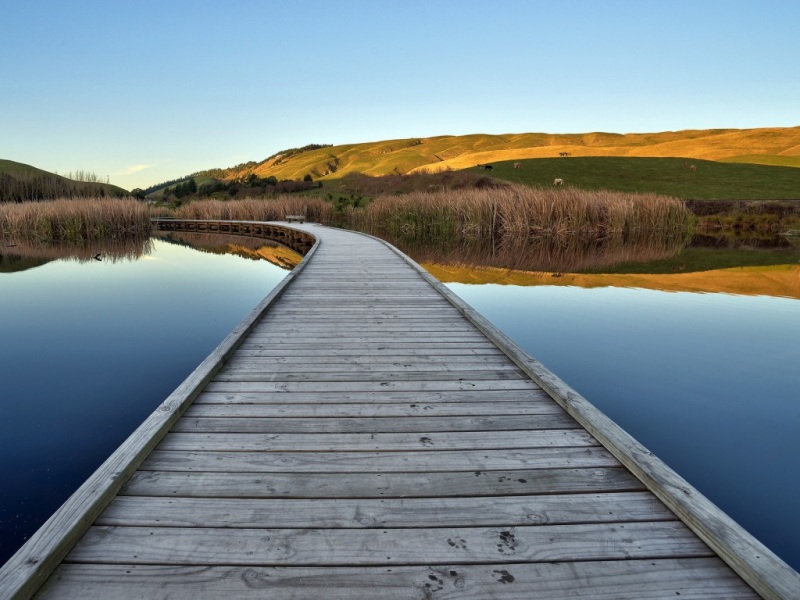 湖边草原牛羊成群 这套治愈系风景壁纸太绝了
