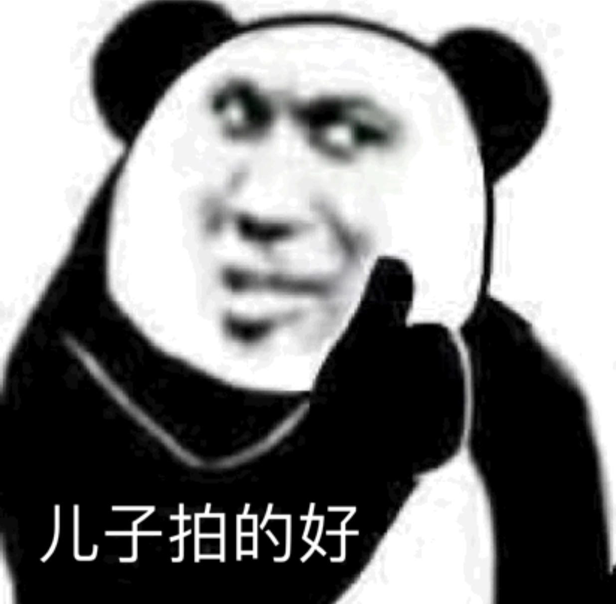超实用！熊猫头拍一拍斗图表情包合集
