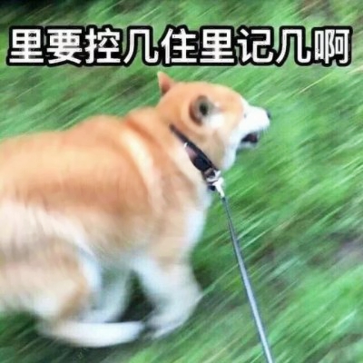 高清可爱沙雕情侣头像合集 28张可直接保存