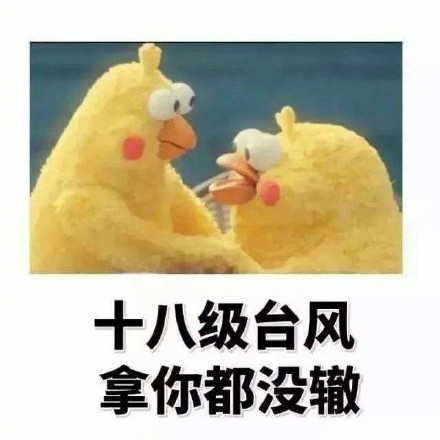 鹦鹉兄弟版“偷偷告诉你”表情包来啦