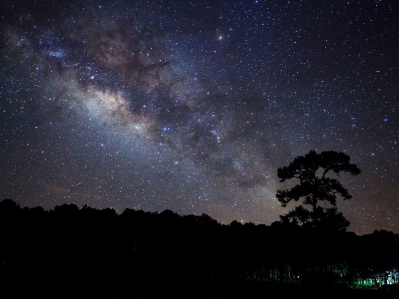 傍晚星空树木电脑桌面壁纸