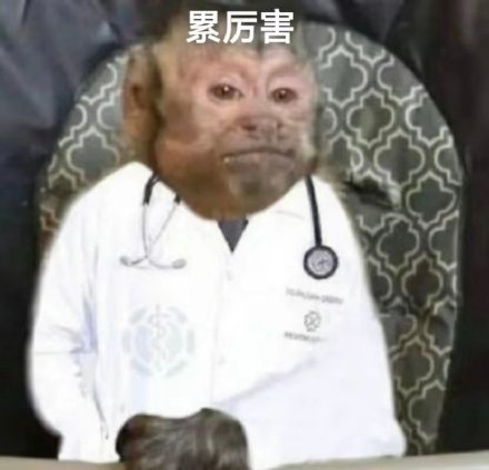 聊天斗图别愁！这套沙雕猴吗喽表情包太好用了