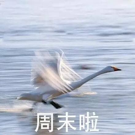 “溜了溜了”表情包合集来啦