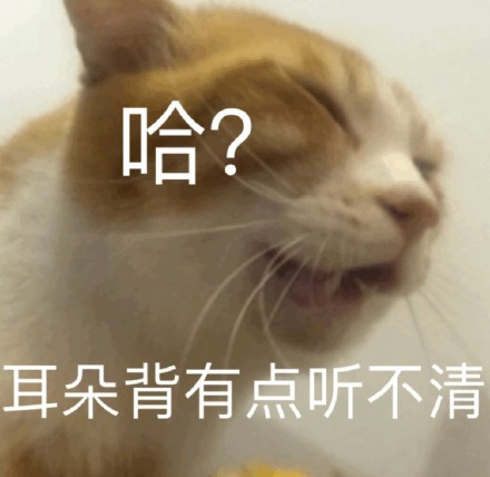 聊天斗图必备！这套猫咪表情包太好用了