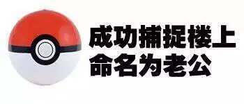 楼上学号？不，这套“成功捕捉楼上”表情包太会玩了