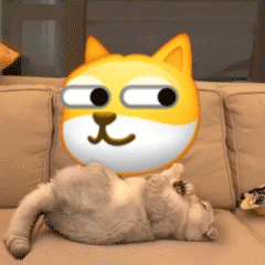 小猫咪踹小黄脸表情包合集