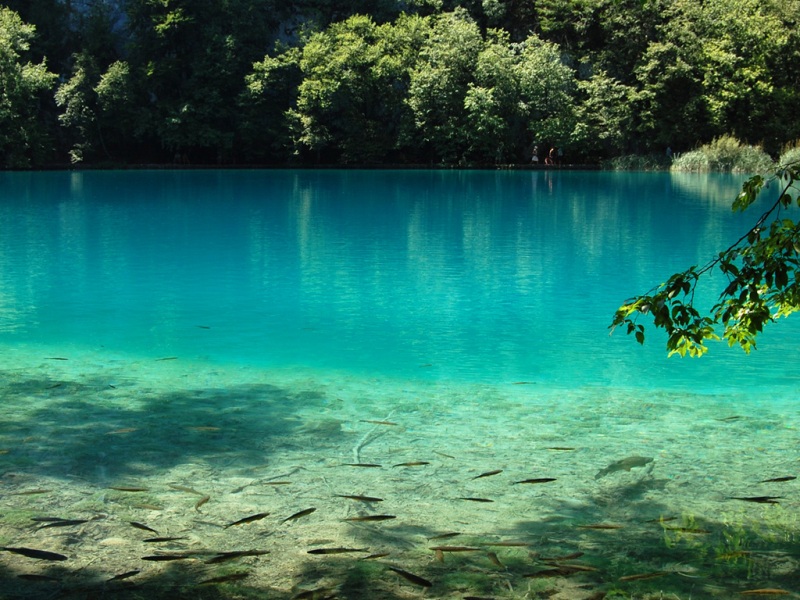 这款蓝调湖景壁纸太适配你的电脑桌面了