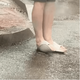 12月23日热门表情包合集来啦