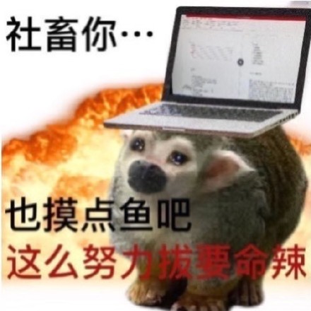 聊天斗图别愁！这套猴猴表情包帮你精准传情