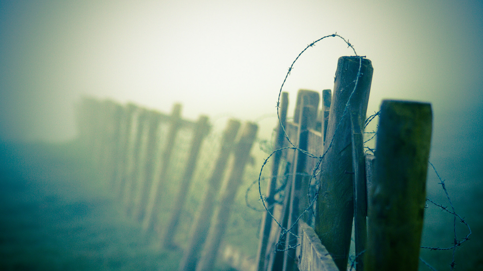 迷雾栅栏风光电脑桌面动漫壁纸