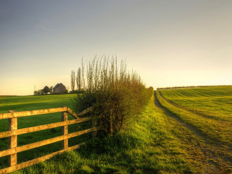 多款自然草地风景高清壁纸免费下载