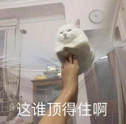 聊天斗图必备！顶不住&顶得住表情包合集来了