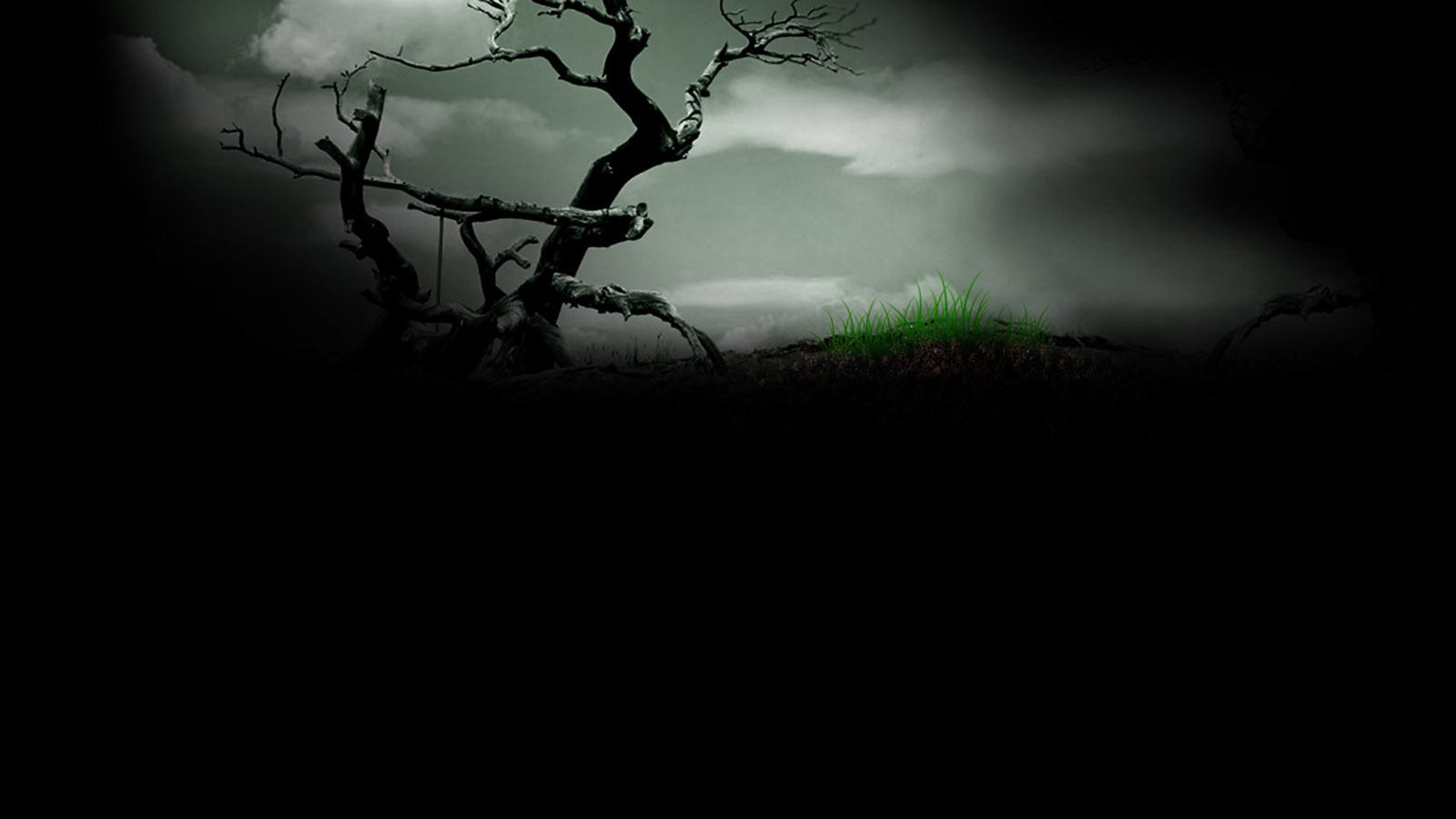 这款清新绿色桌面壁纸，适配多款主流显示器尺寸