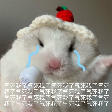 聊天斗图必备！这套小仓鼠表情包太会整活了