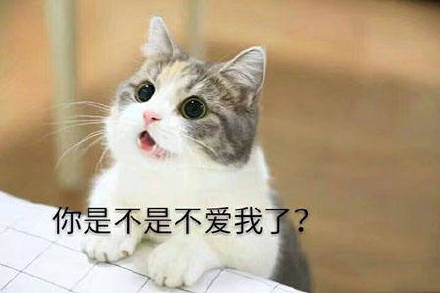 超甜！这套“老公老公我爱你”表情包太适合撩喜欢的人了