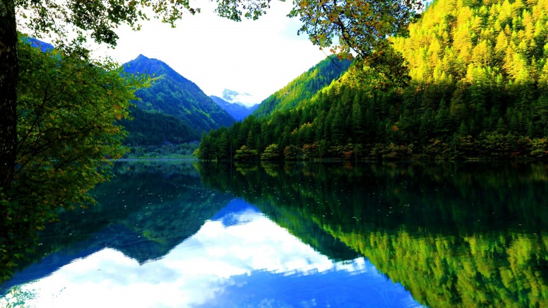 四川九寨沟风景电脑壁纸上新 多种高清尺寸可选