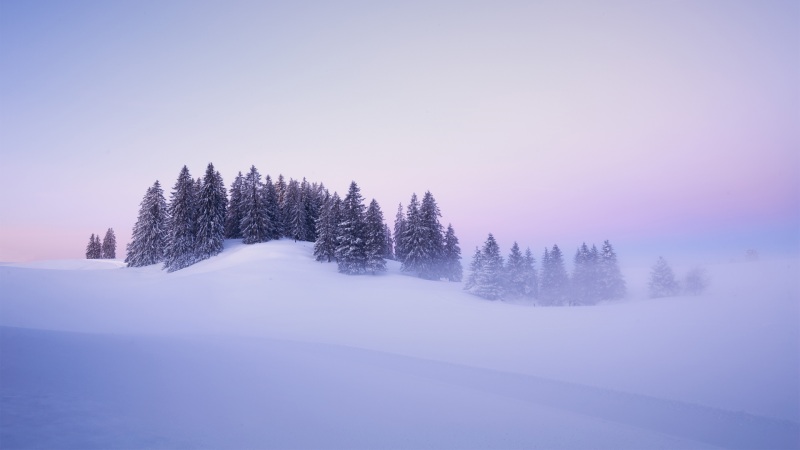 瑞士冬日雪景树木自然风景壁纸分享