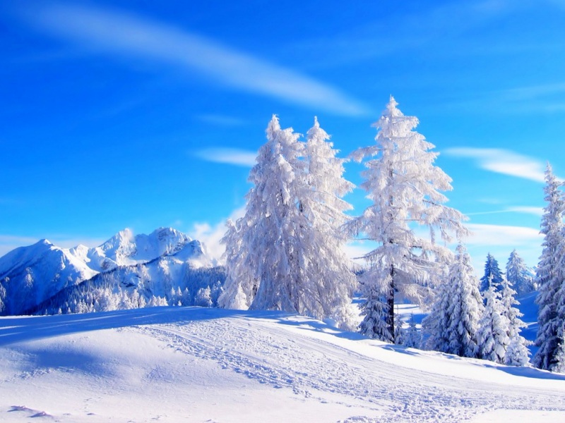 冬日山林雪路风景 适配电脑的动漫风桌面壁纸