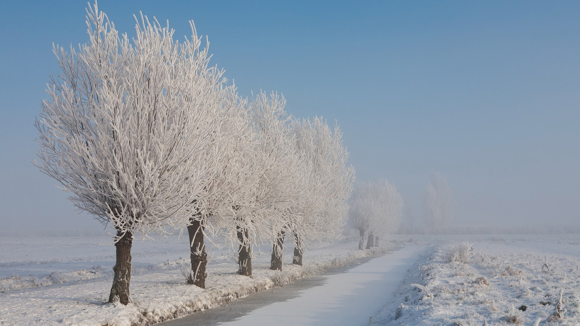 氛围感拉满！白茫茫雪景电脑动漫壁纸推荐