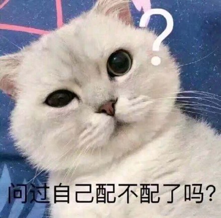 6月2日斗图表情包合集来啦