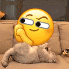 小猫咪踹小黄脸表情包合集