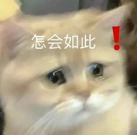 猫咪哭泣流泪猫猫头表情包合集来啦