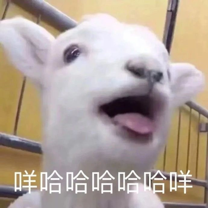 聊天斗图新选择！小羊表情包系列来啦