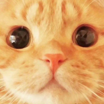 22张超萌喵星人情侣头像 高清可爱直接用