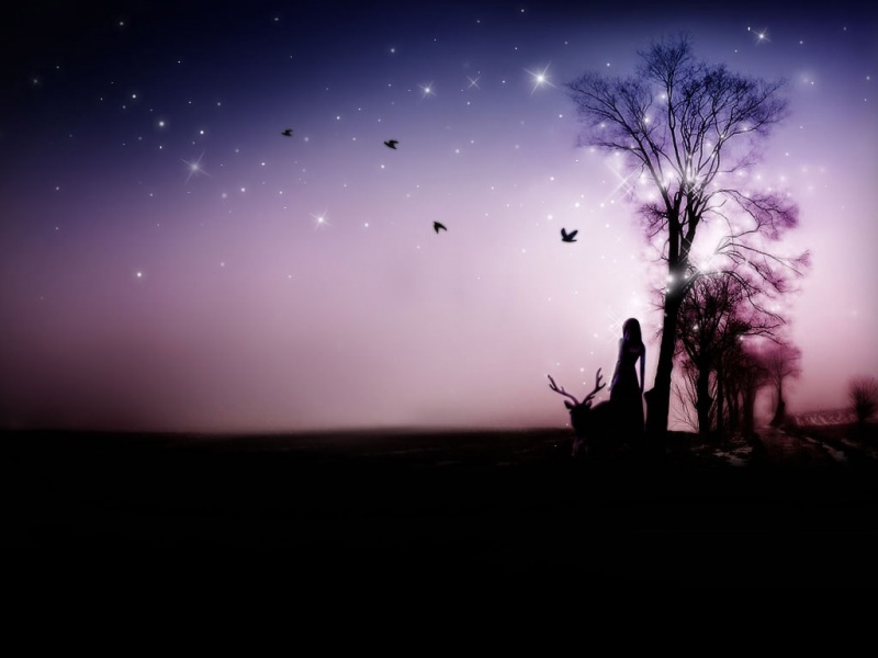 这款魔幻星宿电脑壁纸，适配主流显示器尺寸