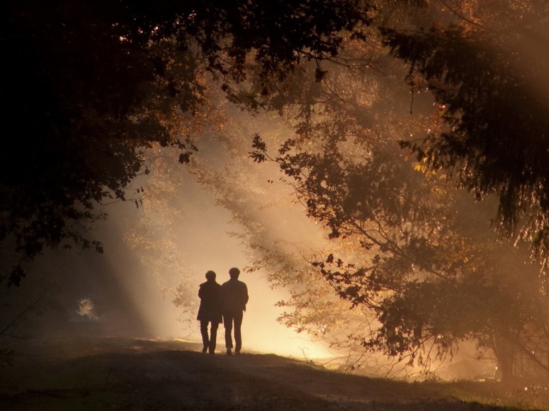 林间漫步恋人动漫壁纸 适配多款电脑屏幕尺寸