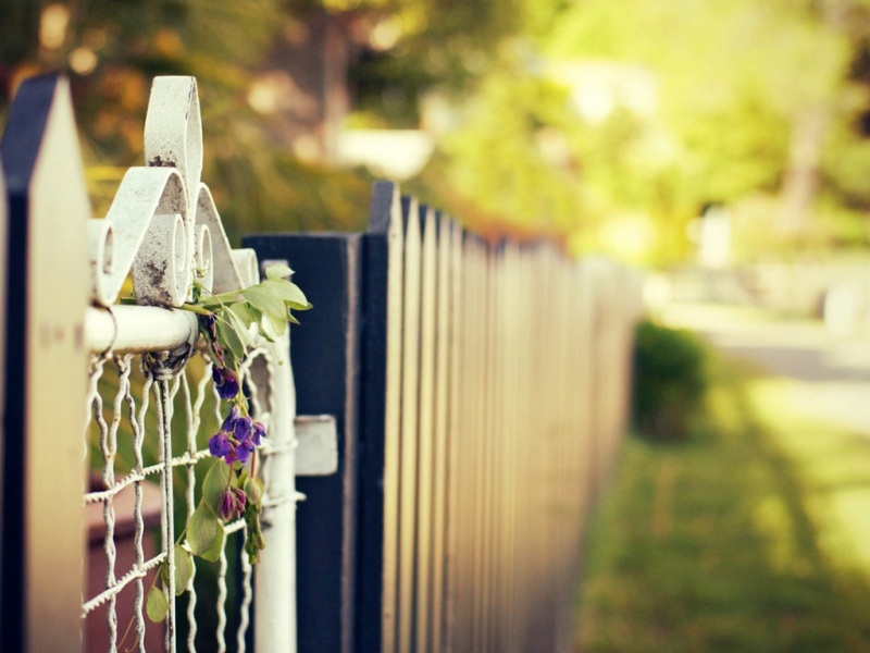 林间栅栏小路鲜花壁纸上新 适配多款电脑屏幕尺寸