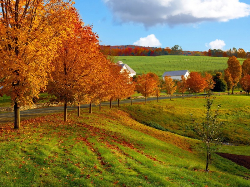 秋日牧场路景电脑壁纸 治愈系动漫风桌面图