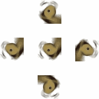 聊天斗图必备！这套沙雕马表情包火了