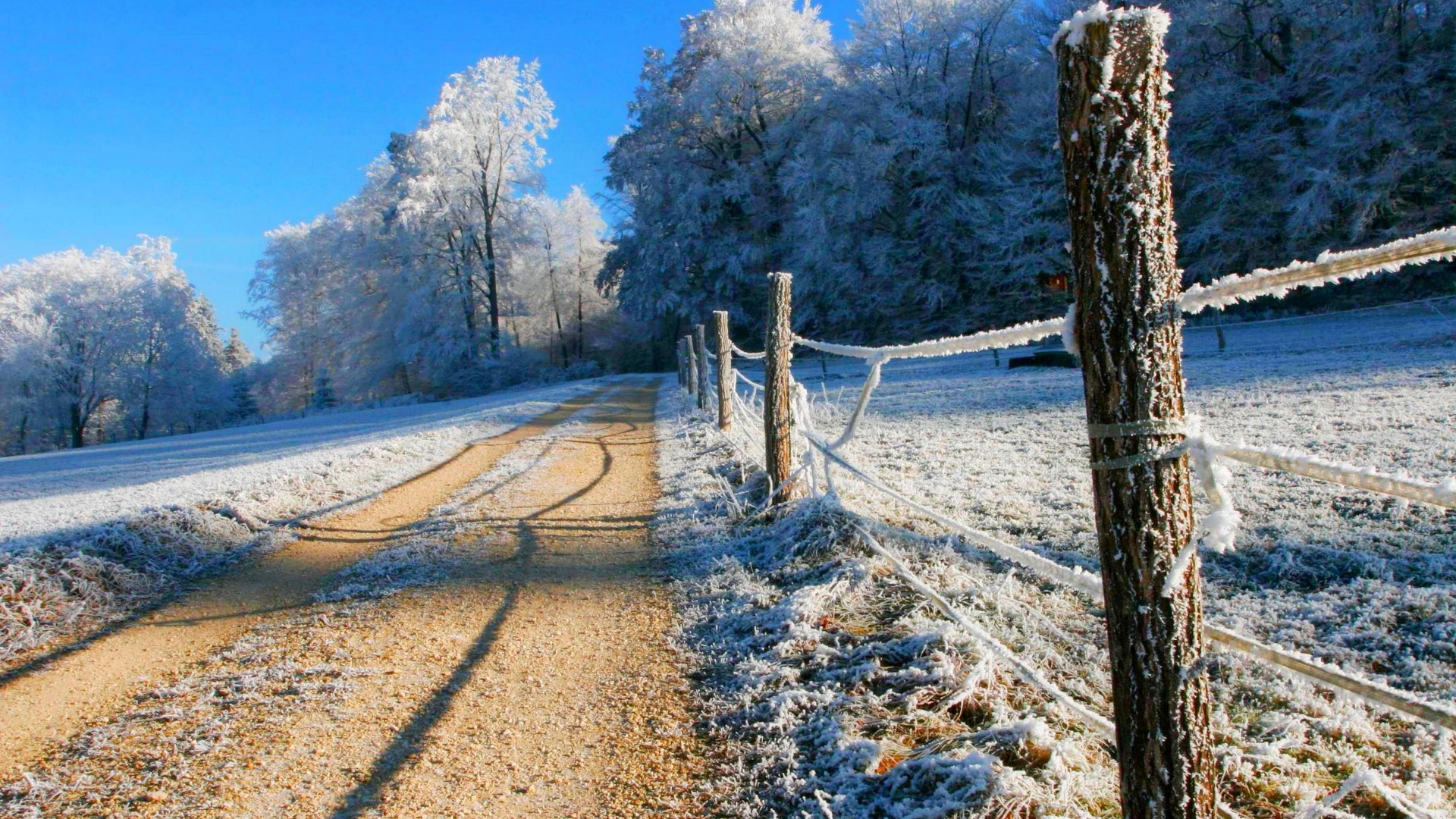 冬日雪景道路栅栏风景电脑动漫壁纸