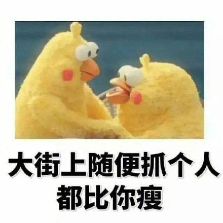 鹦鹉兄弟版“偷偷告诉你”表情包来啦