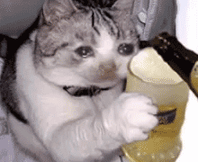 聊天必备！哭泣表情包合集整理好了