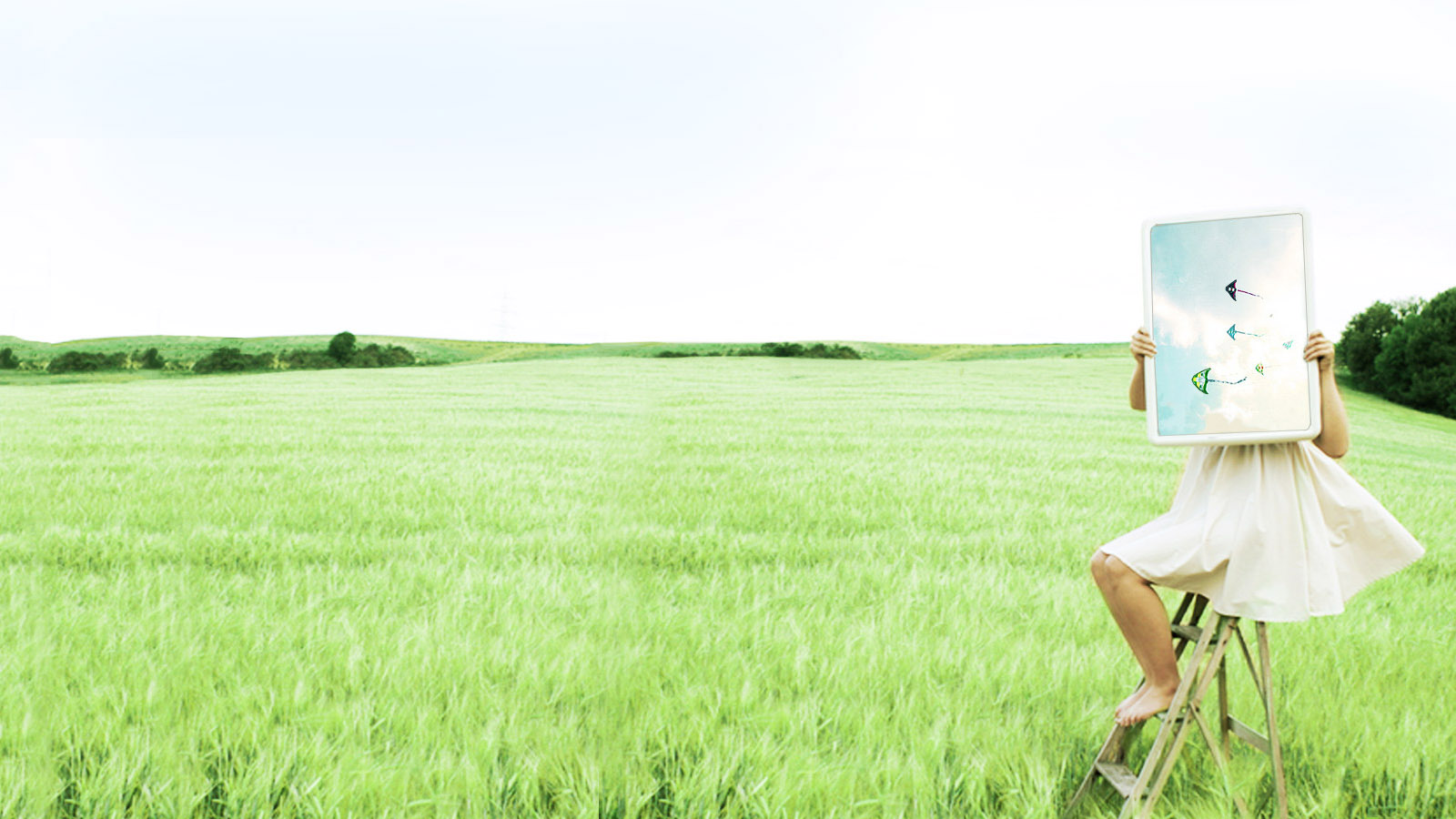 这款郁郁葱葱的草原桌面壁纸，是彼岸桌面推荐的高清风景壁纸资源。